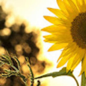 Meet your Posher, Tamara